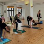 Astanga jatkokurssi I (3h)